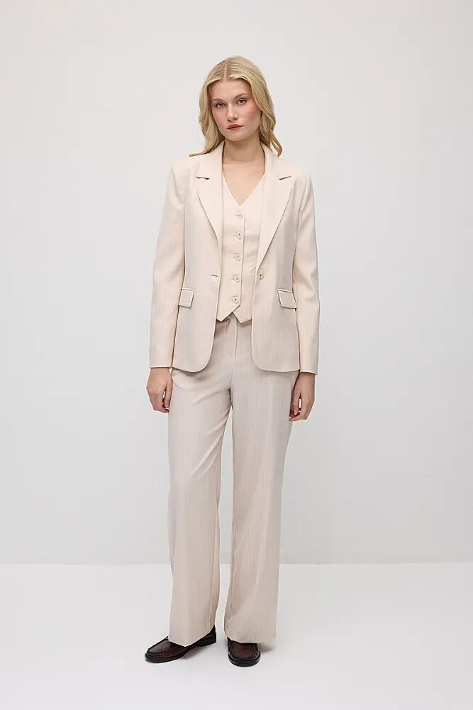 Tek Düğmeli Silik Çizgili Blazer Ceket & Bol Paça Kumaş Pantolon Takım - Pudra