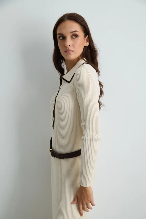 Button Detail Polo Neck Knit Dress Ecru - 5