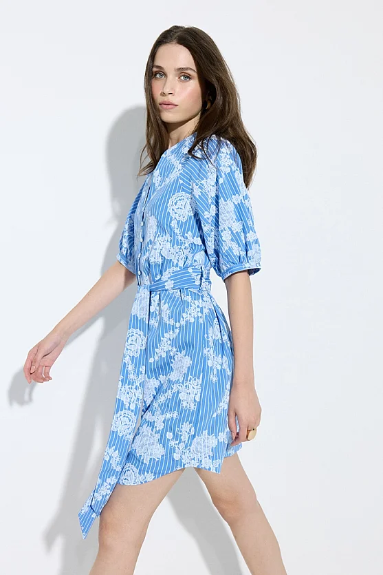 Floral Print Striped Short Sleeve Shirt Dress - Blue - Gusto