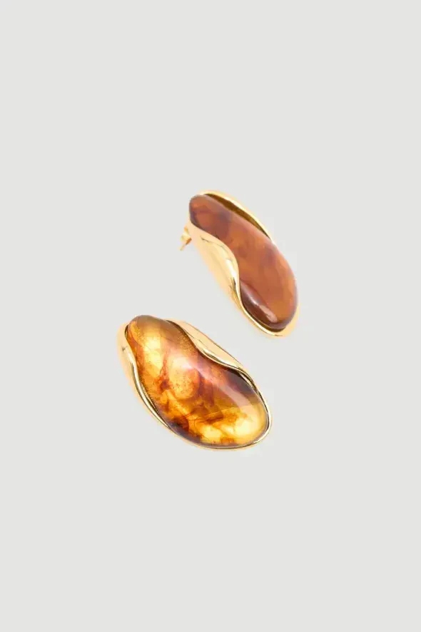 Gold Detailed Bone Earrings - Brown - 1