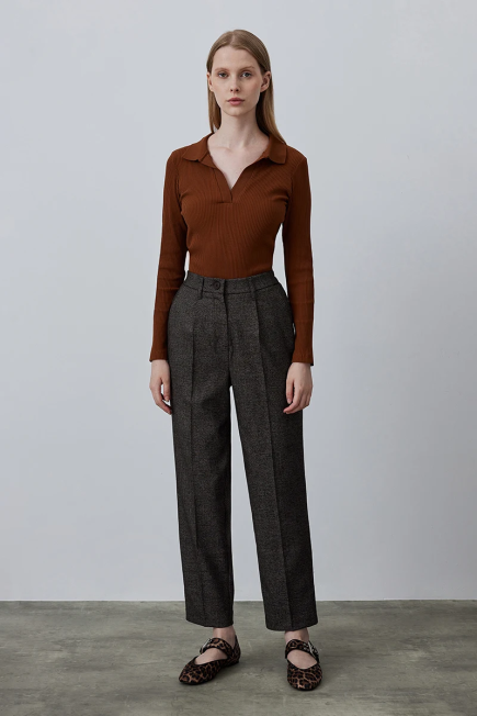 Pleated Fabric Pants - Brown Brown