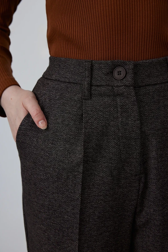 Pleated Fabric Pants - Brown - 3