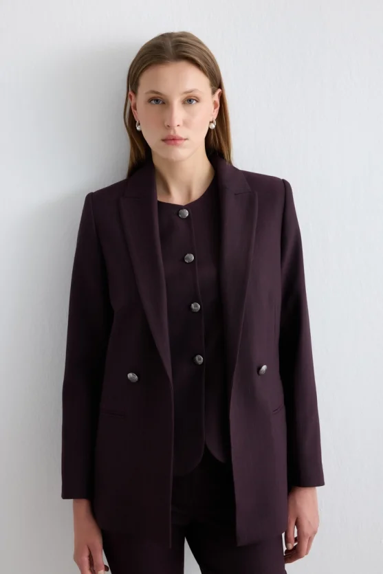 Relaxed Fit Striped Blazer Jacket Plum - 1