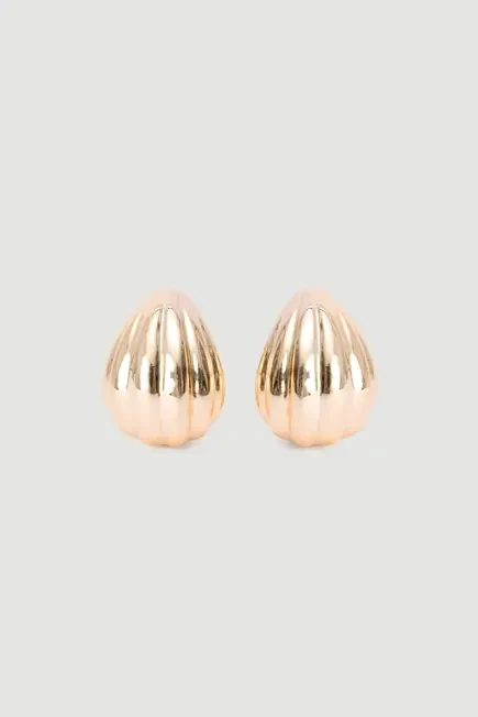 Seashell Earrings - Gold Gold