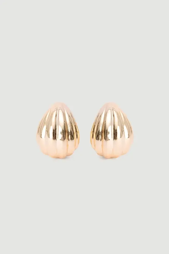 Seashell Earrings - Gold - 1