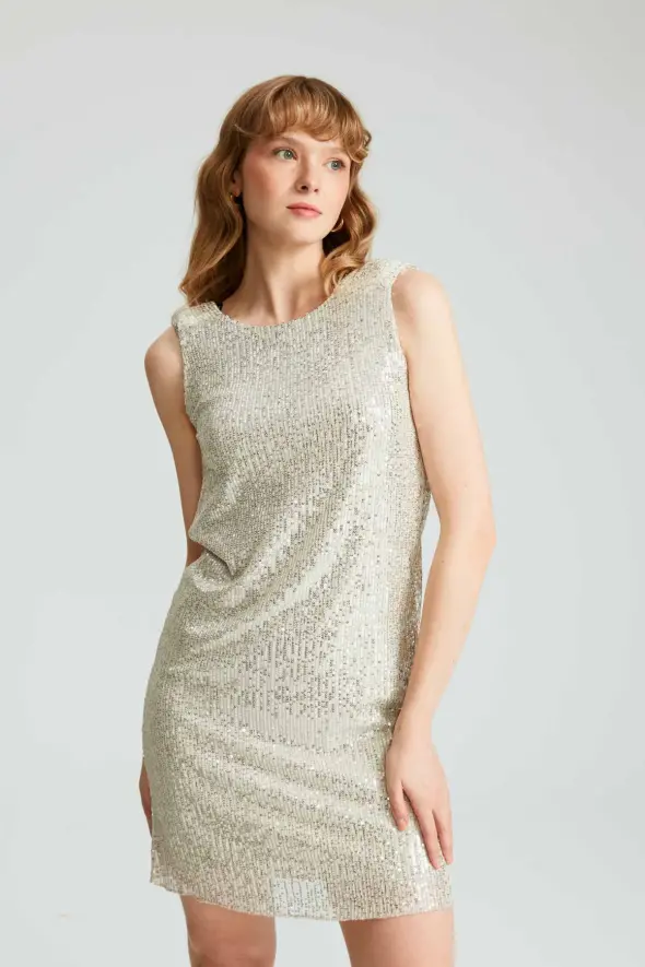 Sequin Mini Dress - Platinum - 2