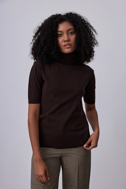 Short Sleeve Basic Sweater with Turtleneck - Brown Brown