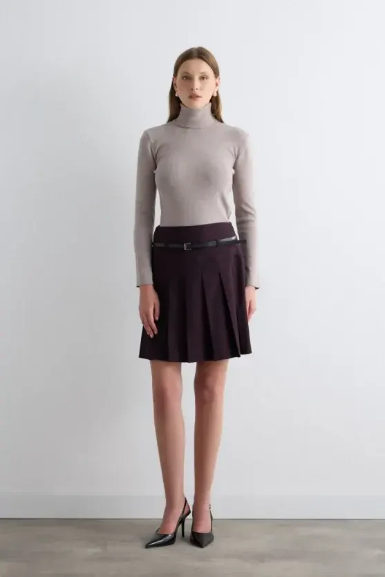 Striped Pleated Belted Mini Skirt - Plum - 3