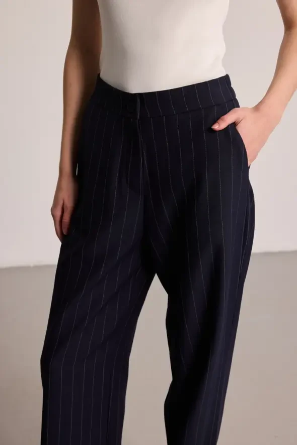 Striped Tencel Fabric Trousers - Navy Blue - 3