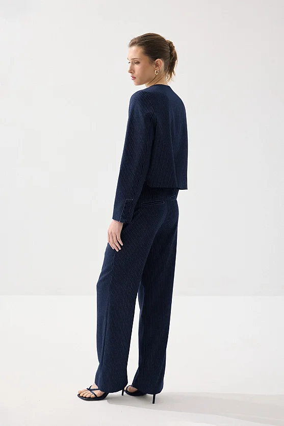 Striped Viscose Linen Pants - Navy Blue - 5