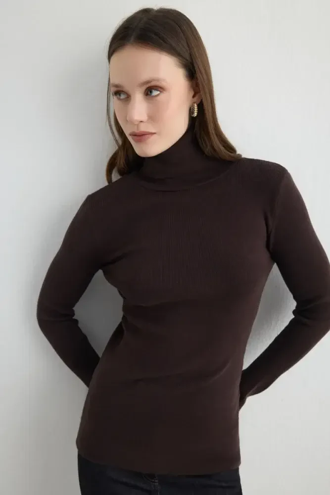 Turtleneck Basic Knitwear - Brown