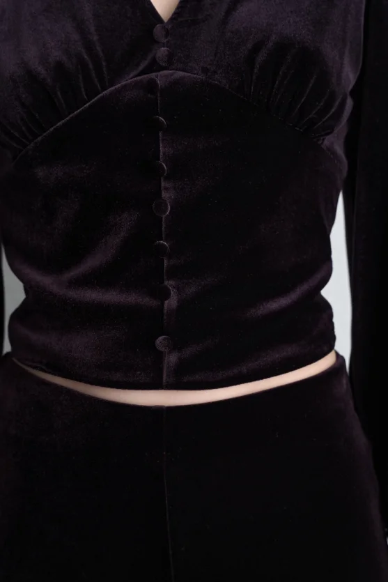 V Neck Velvet Blouse Plum - Gusto