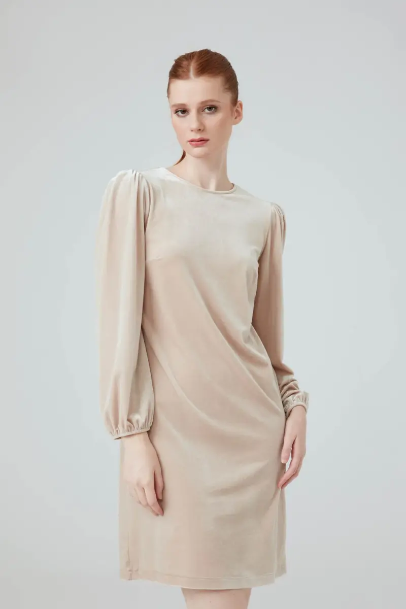 Beige best sale velvet dress