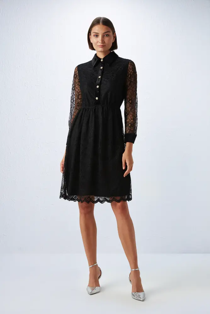 Velvet Trimmed Lace Dress - Black Black