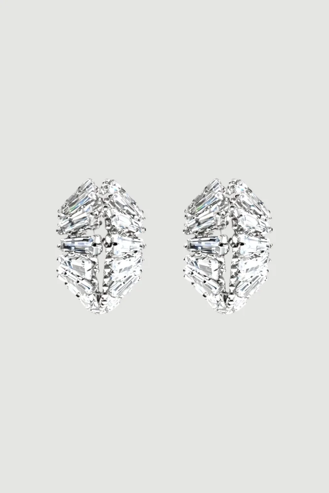 Zircon Stone Moon Earrings - Silver Silver